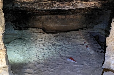 新たに発見の墓所、古代の疾患解明に期待 エジプト考古省