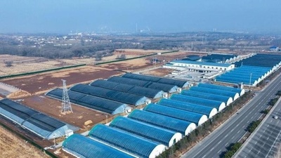 山西襄垣県のブランド戦略、スマートビニールハウスでシイタケ栽培・中国