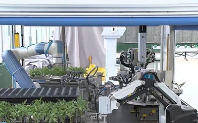 中国の農場が育種に接ぎ木ロボット導入 生存率99%