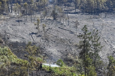 南仏で大規模な山火事 消防隊員900人超出動
