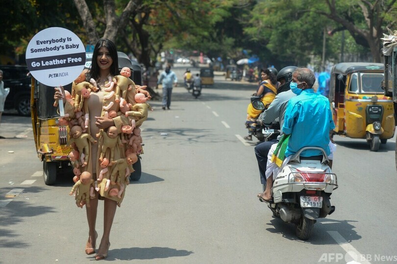 動物愛護団体、「皮革の不使用」呼び掛け インド
