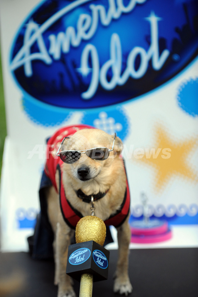 ワンちゃんのためのハロウィーン・パレード