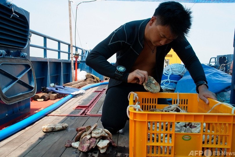 難破船から中国製陶磁器 シンガポール海運史に光