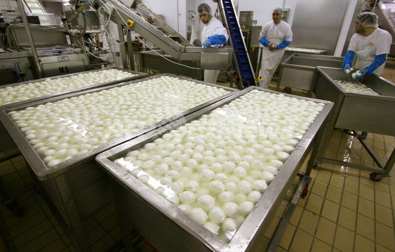 モッツァレラのダイオキシン検出、イタリアが緊急会議