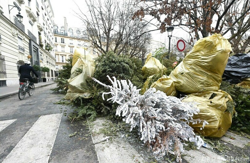 クリスマスツリーをリサイクル 市内各地に回収所 仏パリ