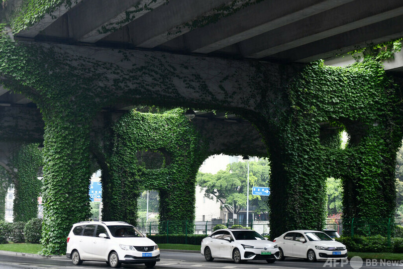 ツタが作った緑のトンネル 中国・成都市の高架橋