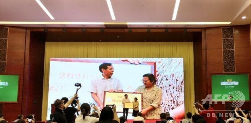 中国雲南省で「マツタケ取引大会」始まる 新型コロナで日本などへの輸出減に対応