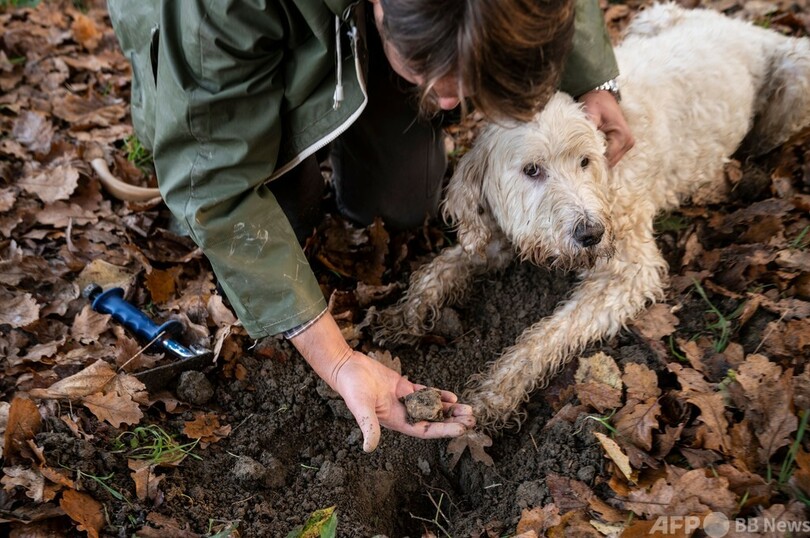 【今日の1枚】お宝発見、パートナーがいてこそ