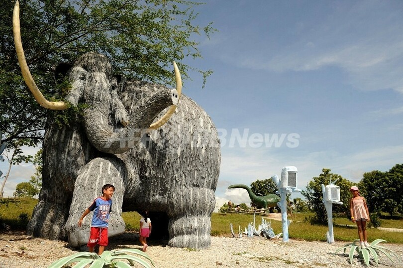 南スペインにマンモスの化石、生息地さらに南に拡大