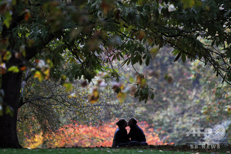 バングラデシュ議員、キスするカップルをネットにさらし炎上