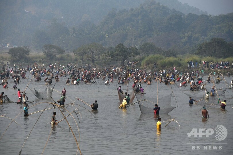 インド北東部アッサム州で収穫祭、大勢で魚捕り