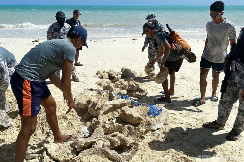 オオシャコガイを大量押収 フィリピン