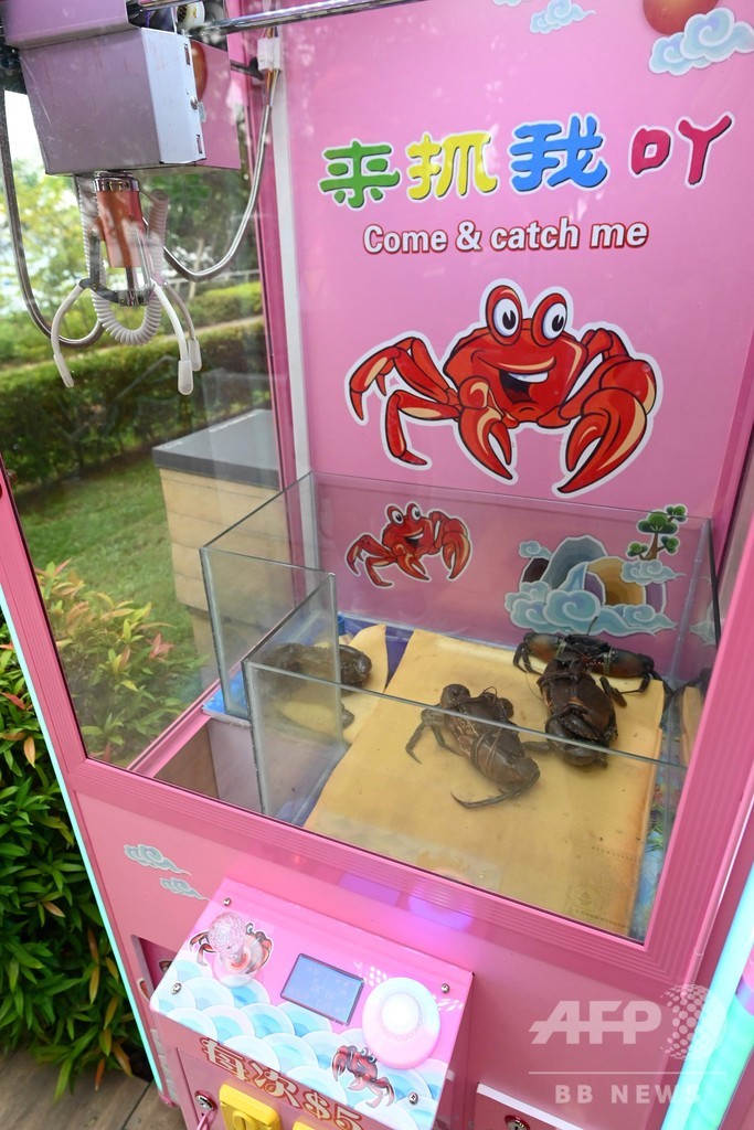 カニつりクレーンゲームに「虐待」と批判殺到、稼働中止に