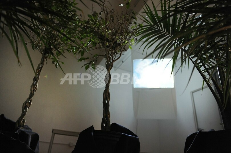 NYのアーティスト、植物のための映画を上映