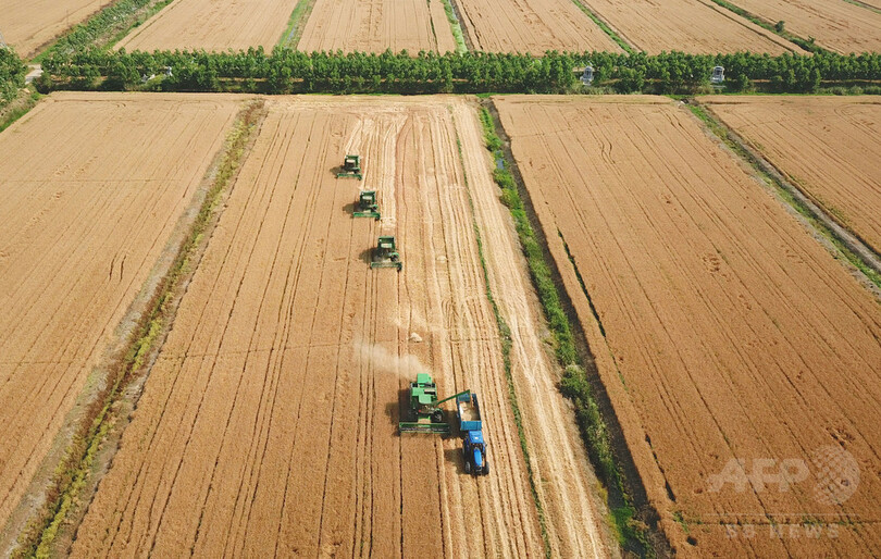 中国政府、小麦など22分野で開放措置 2018年版ネガティブリスト発表