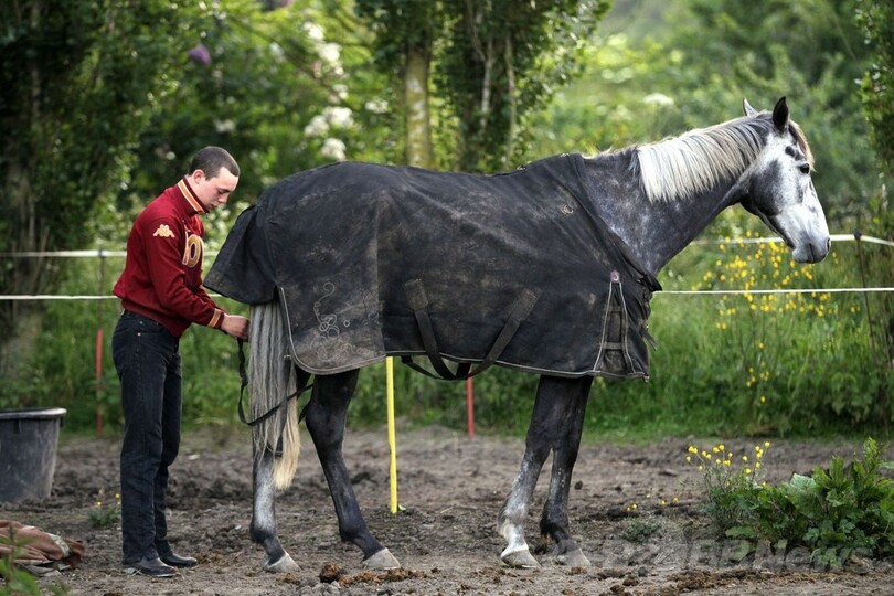 訓練前に大あくび？フランスの競走馬