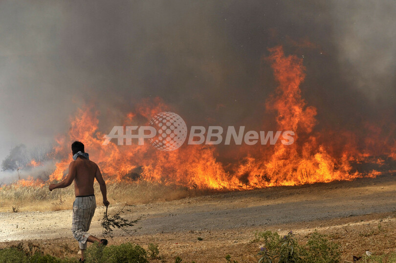 ギリシャのアテネ南部で山火事