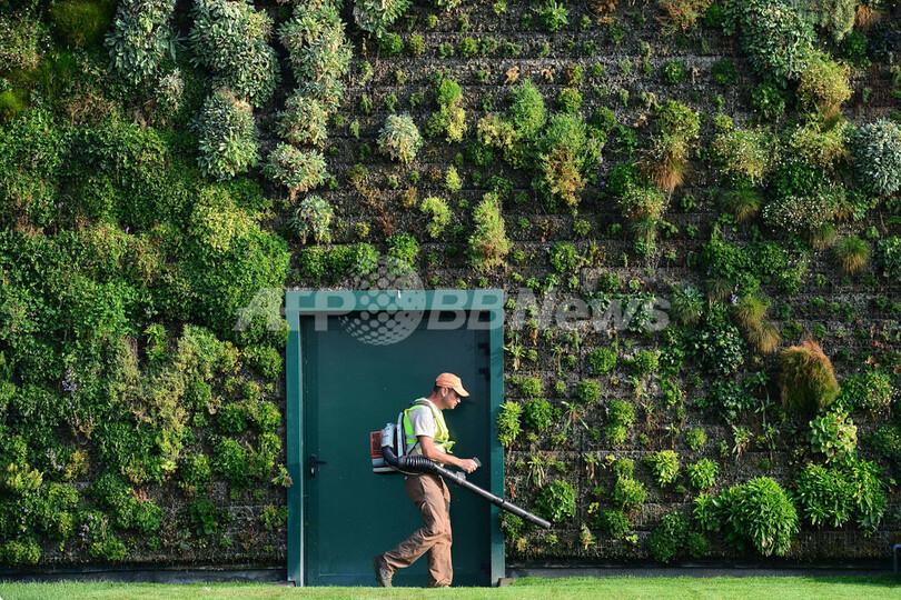 壁に植物4万本、世界最大の「垂直庭園」 イタリア