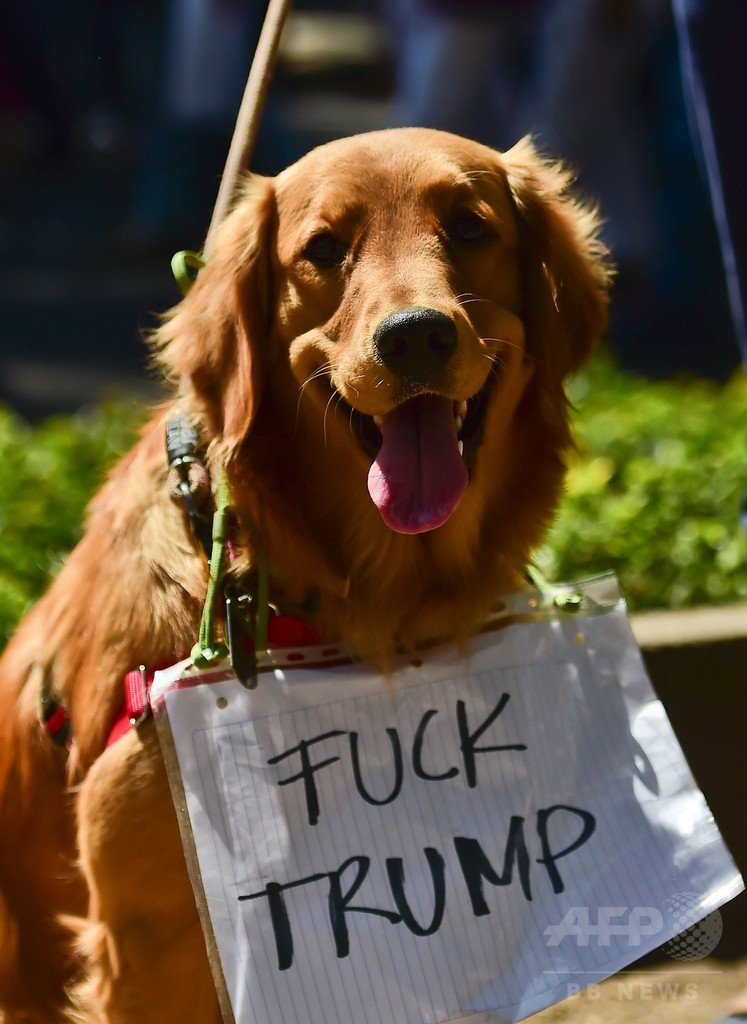 メキシコ各地で反トランプデモ 過去最大規模か