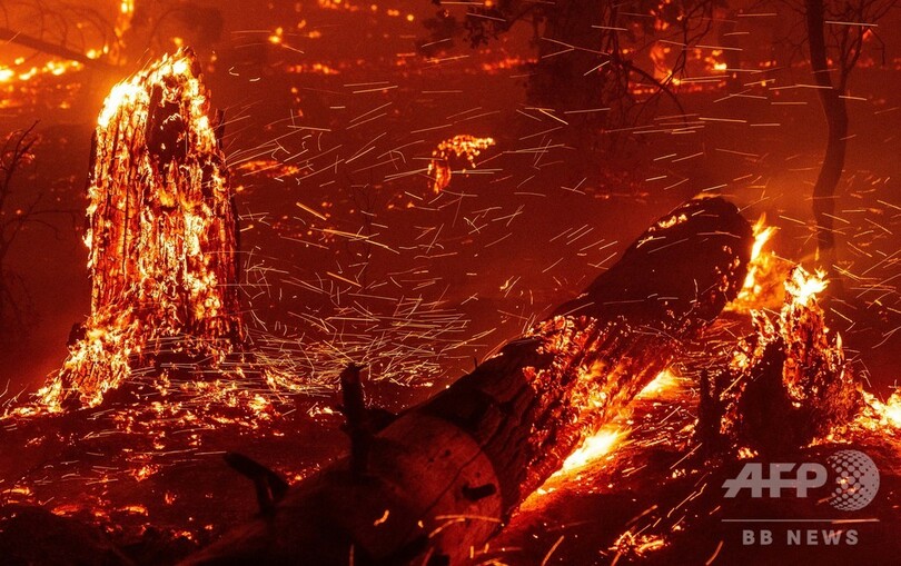 【記者コラム】山火事の中心部へ 米カリフォルニア州