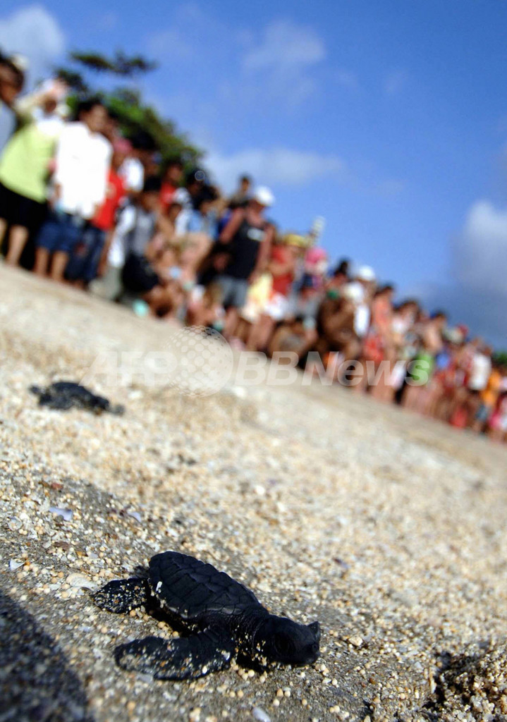 62回目の独立記念日、インドネシア