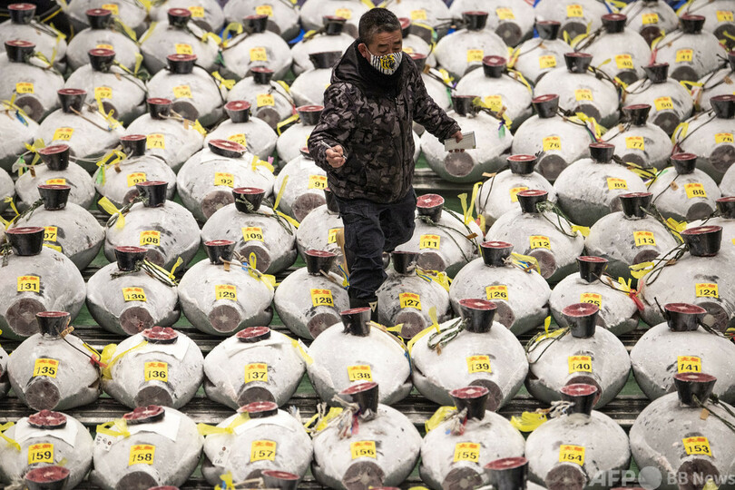 豊洲でマグロ初競り すしざんまい、コロナで最高値は「自粛」