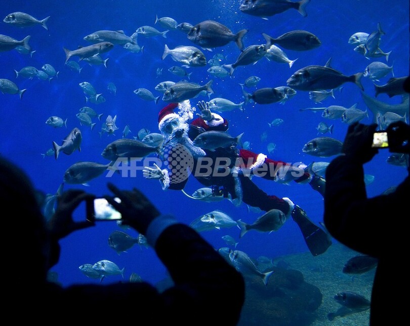 サメにプレゼント？サンタ姿のダイバーが魚たちと遊泳 スペイン