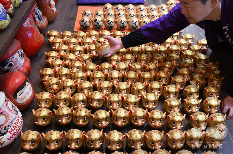 金メダルに向かって「猪突猛進」 干支（えと）だるま制作がピーク 神奈川・平塚