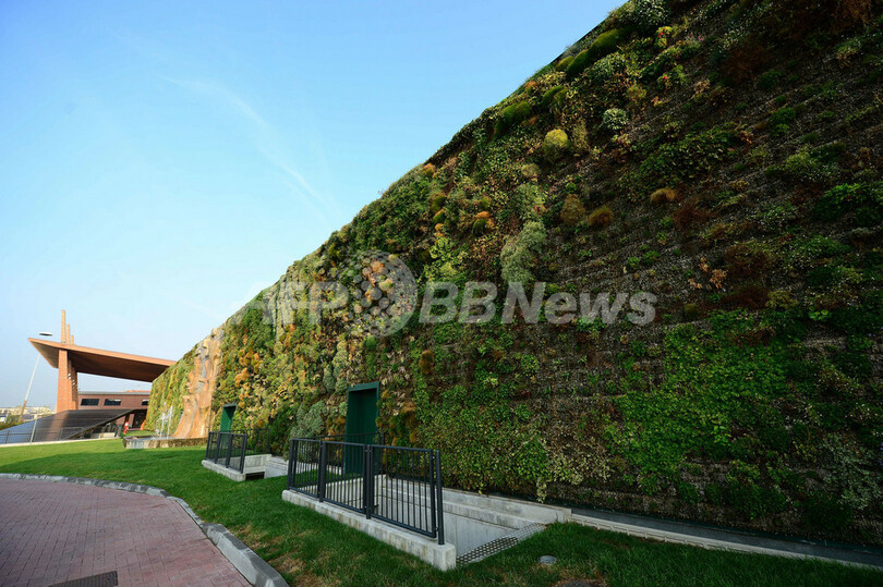 壁に植物4万本、世界最大の「垂直庭園」 イタリア
