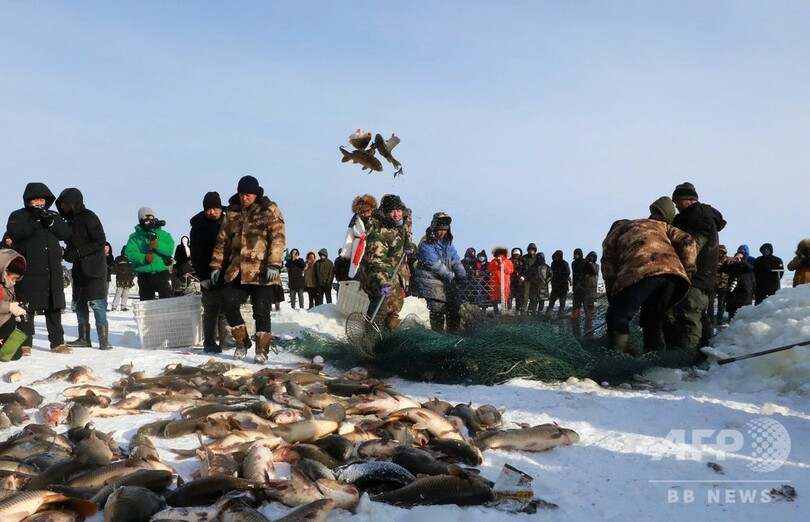 フルンボイルの湖で漁業イベント、観光客参加の競売も 中国・内モンゴル
