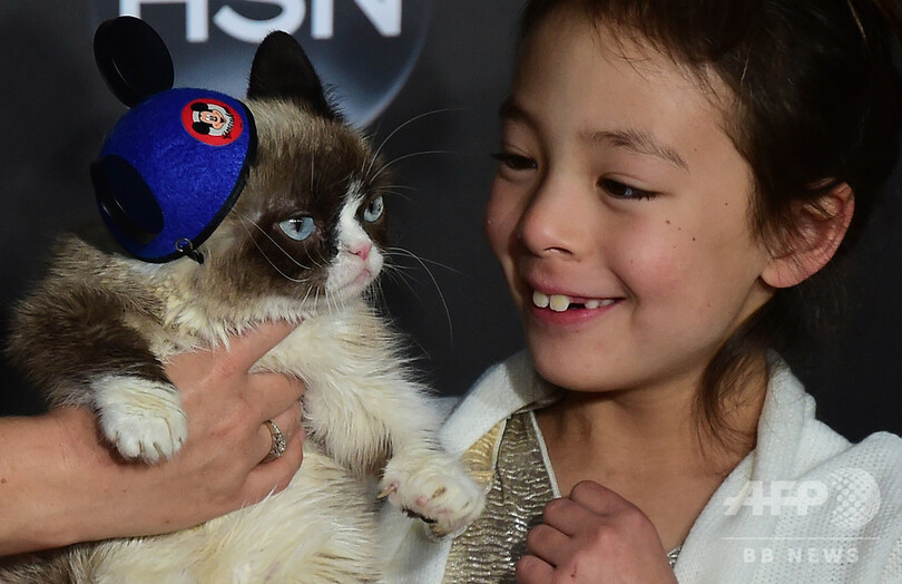 「不機嫌ネコ」のグランピー死ぬ、7歳