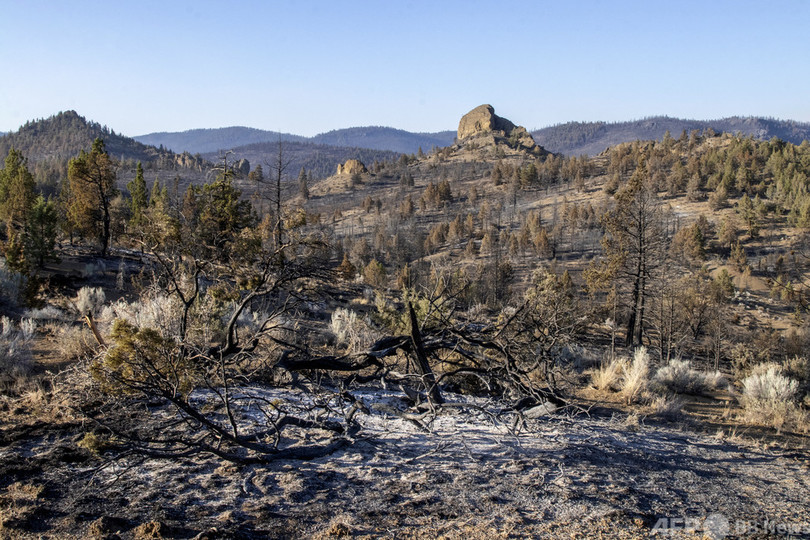米西部の山火事拡大 オレゴン州でNY市超える面積焼失 加州では落雷予測