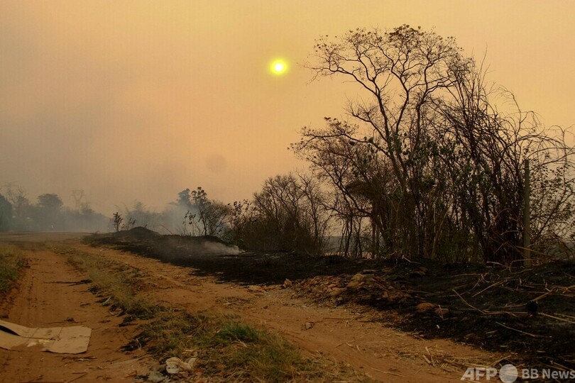 山火事との「戦争」宣言 ブラジル・サンパウロ州