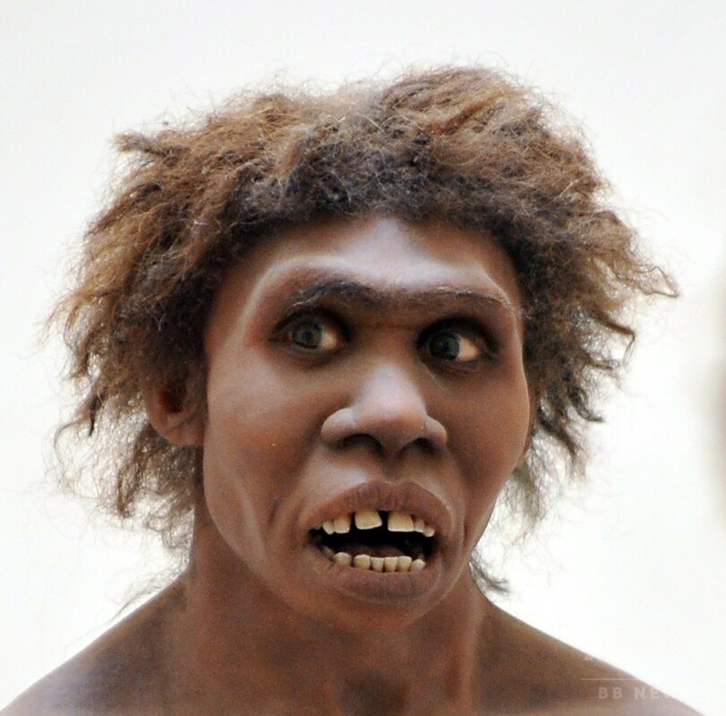 古代人の食人、単なる「食事」ではない 研究