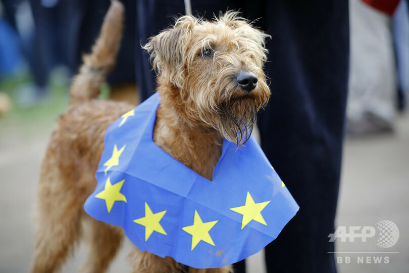 愛犬と一緒にEU離脱反対、ロンドン中心部で「ウーファレンダム」行進