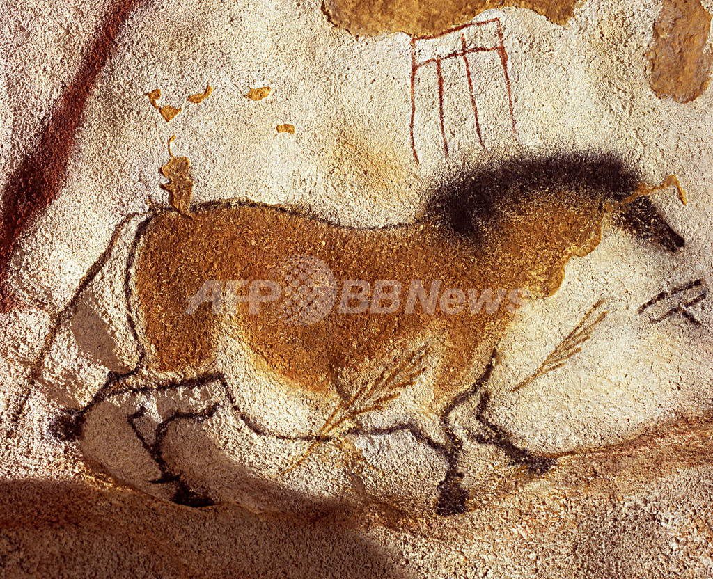 洞窟壁画に描かれた「ぶち模様の馬」、実在の証拠を発見 研究 洞窟壁画に描かれた「ぶち模様の馬」、実在の証拠を発見 研究