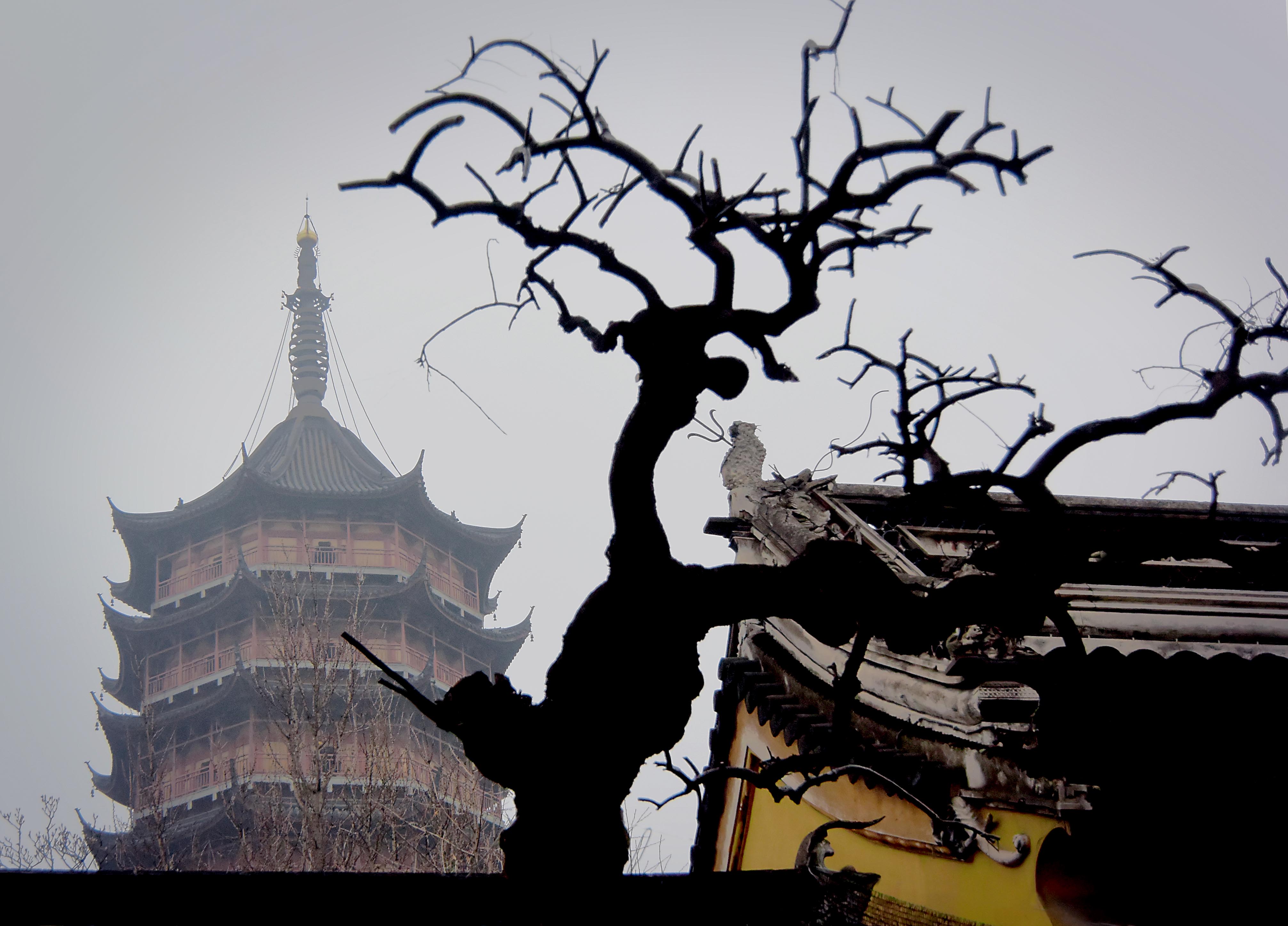 写真特集】各地に残る伝統の美、中国の古塔を巡る 写真36枚 国際