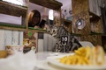 ミャンマー・ヤンゴンの「カプチーノ・カフェ」で、猫の写真を撮る女性（2017年7月15日撮影）。(c)AFP/Ye Aung THU