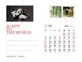 パンダ郵便局 パンダの卓上カレンダーを新発売 日本でも販売予定 写真4枚 国際ニュース Afpbb News