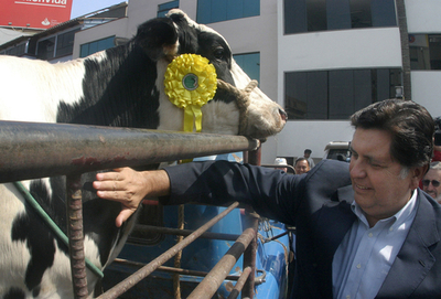 ＜ペルー大統領選挙＞ガルシア候補に牛一頭のプレゼント - ペルー