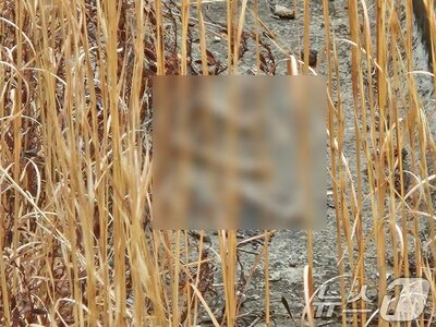 韓国・務安空港事故、遺族が空港外周で「遺骨とみられる物体」を発見…徹底調査を要求