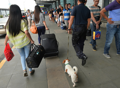 空港トイレで子犬水死、米女性を逮捕
