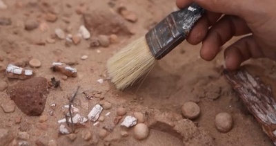 カラスほどの「ミニ恐龍」化石 アルゼンチンのパタゴニアで発見