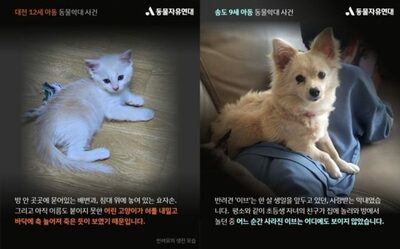 「友達のペットを死なせる」韓国の小学生…理由を聞くと「わかりません」という不気味さ