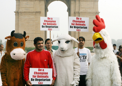 動物愛護団体PETA、インドで「菜食のすすめ」
