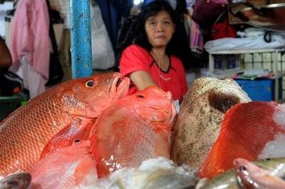 地球温暖化で魚が小さくなる、海水中の酸素不足で 米加研究