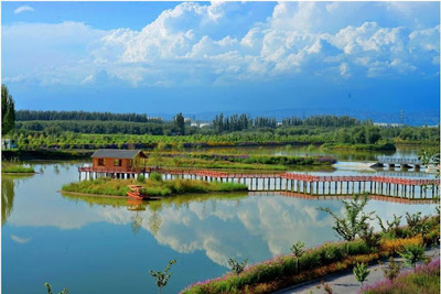 新疆アクス地区：「ゴビ砂漠からオアシスへ」の緑の奇跡