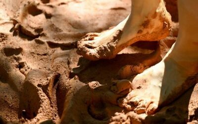 不眠症を完全克服…韓国・裸足ウォーキング「聖地」からの発信