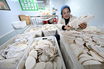 中国の大別山山麓発 天然素材の「神グッズ」が海外で爆売れ