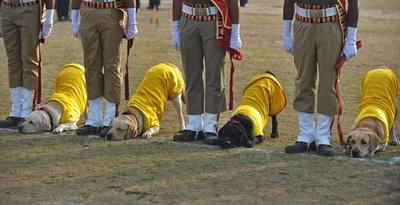 警備犬部隊も共和国記念日祝う、インド
